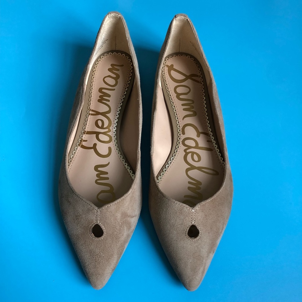 New Sam Edelman Suede Pointy Toe Flats